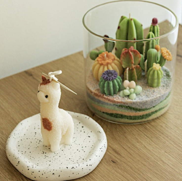 Terrarium Candle Workshop Terrarium Candle Workshop