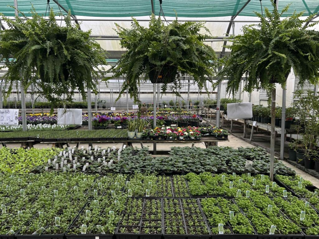 Jenny Garden Centre
