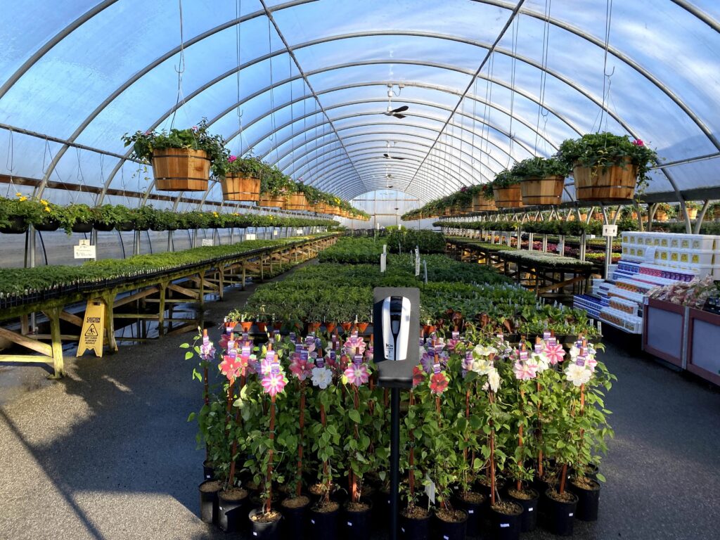 Leong’s Nursery