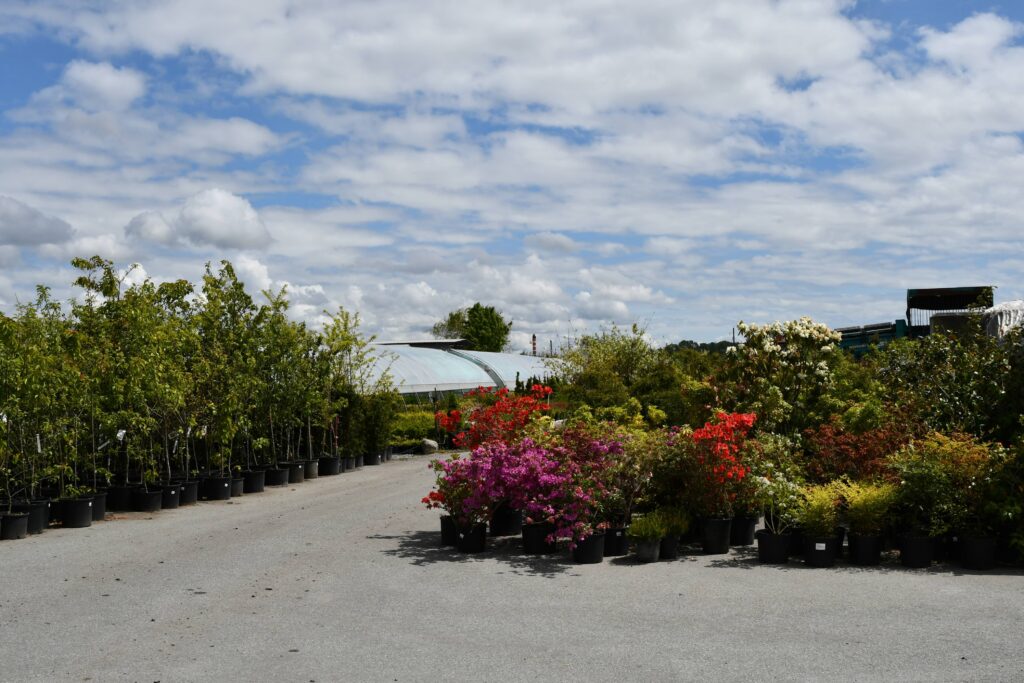 Southwest Garden Supplies