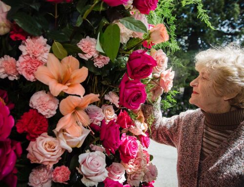 Burnaby Blooms: Celebrate Spring in Full Bloom