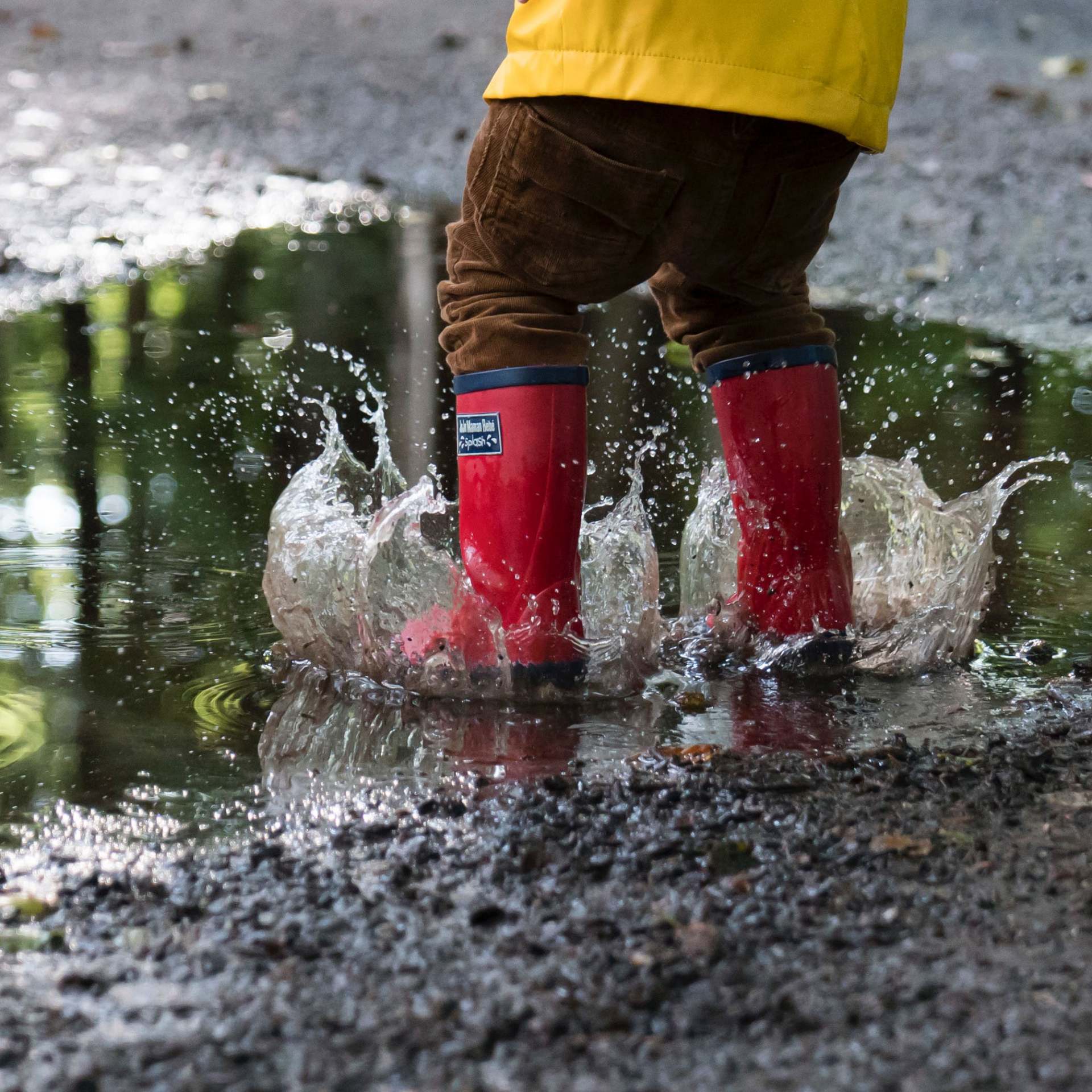 Family Friendly Winter Walks in Burnaby
