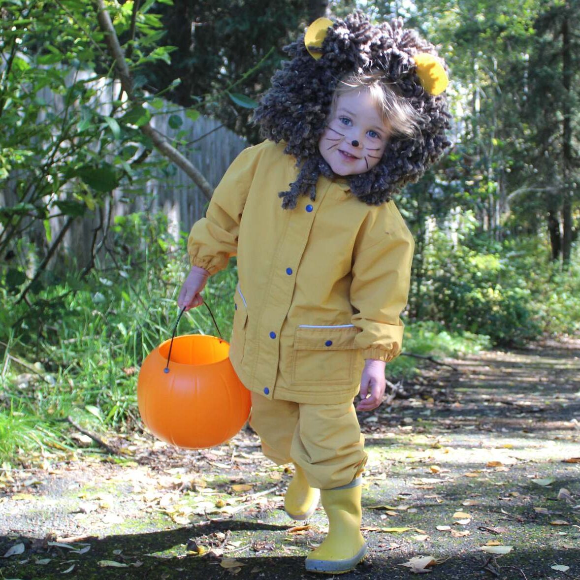 DIY Lion Costume designed by Christy, Alaska, USA