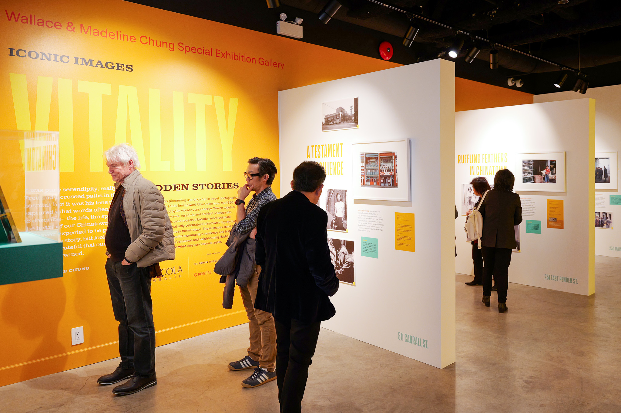 Vitality Exhibition 6 Credit Ankit Chawla Vitality Exhibition