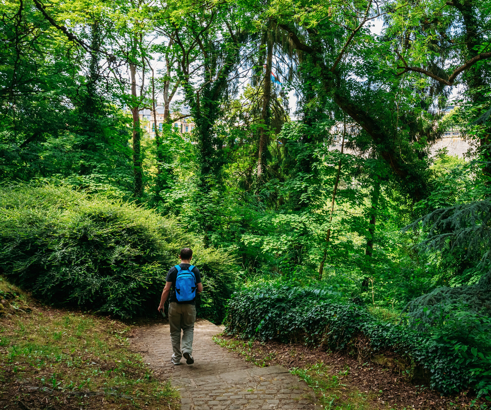 Stone Pathway Walkway Lane Path With Green Bushes In Park